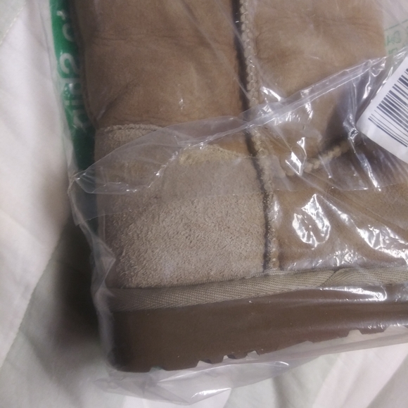 Brand new Authentic Uggs - Picture 7 of 7